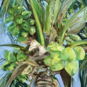 Coconuts in Green