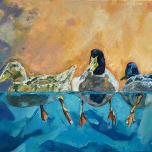 Ducks at Sunset