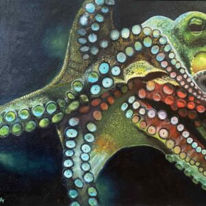 Octopus