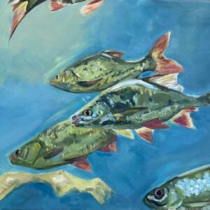 Red Fins